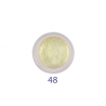 FIRSTLINE GEL COLOR -  N°48