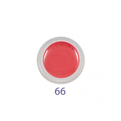 FIRSTLINE GEL COLOR -  N°66