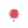 FIRSTLINE GEL COLOR -  N°66
