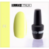 Blush italia N81 Gel polish 15 ml