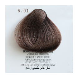 PERSONAL COLOR 6.01 BIONDO SCURO NATURALE CENERE