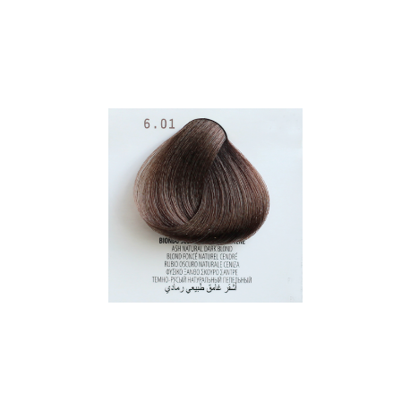 PERSONAL COLOR 6.01 BIONDO SCURO NATURALE CENERE