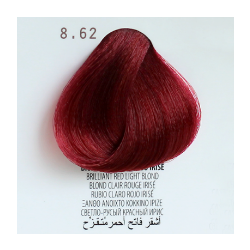 PERSONAL COLOR 8.62 BIONDO CHIARO ROSSO IRISE