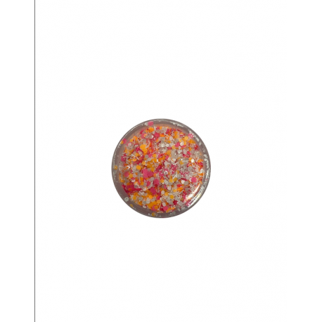 Nail Art Paillettes Multicolori