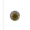 Nail Art Fiori Secchi