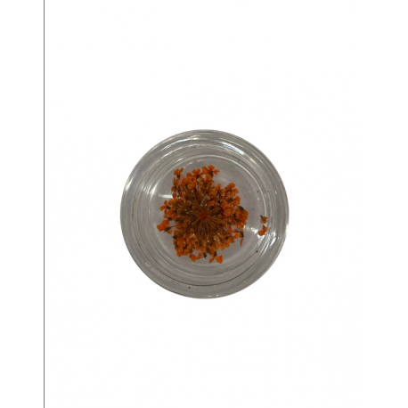 Nail Art Fiori Secchi