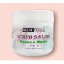 BLUSH-ITALIA SCRUB SALINO COCCO MENTA 650GR