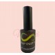 Infinity Gel Semipermanente 10ml n.38