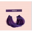 WIND COLOR CRAZY VIOLA 100 ML