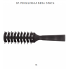 SP. PENSILVANIA NERA OPACO